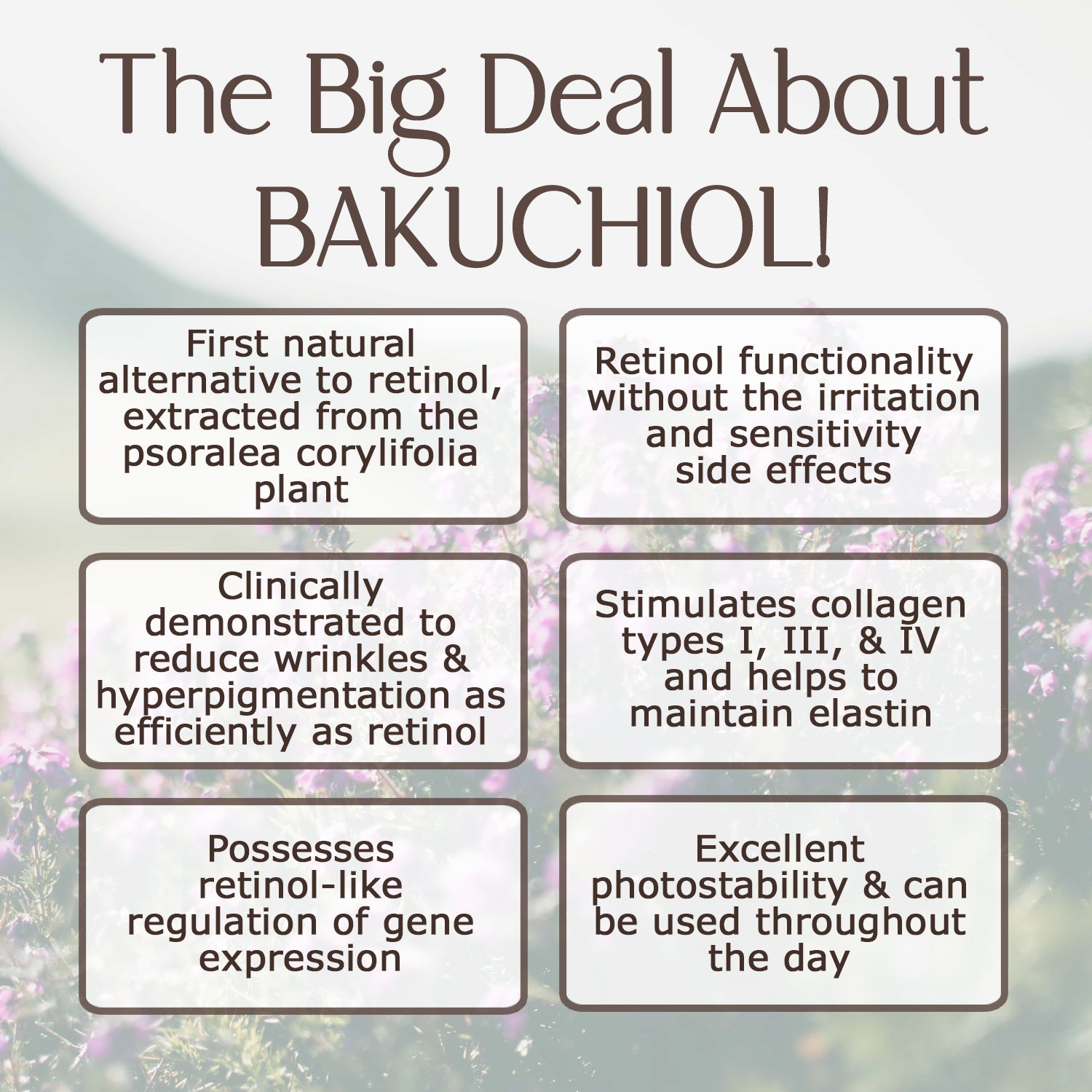 BAKUCHIOL BEAUTY BALM: Pretty Pungent, Anti-Aging Tallow Face Cream