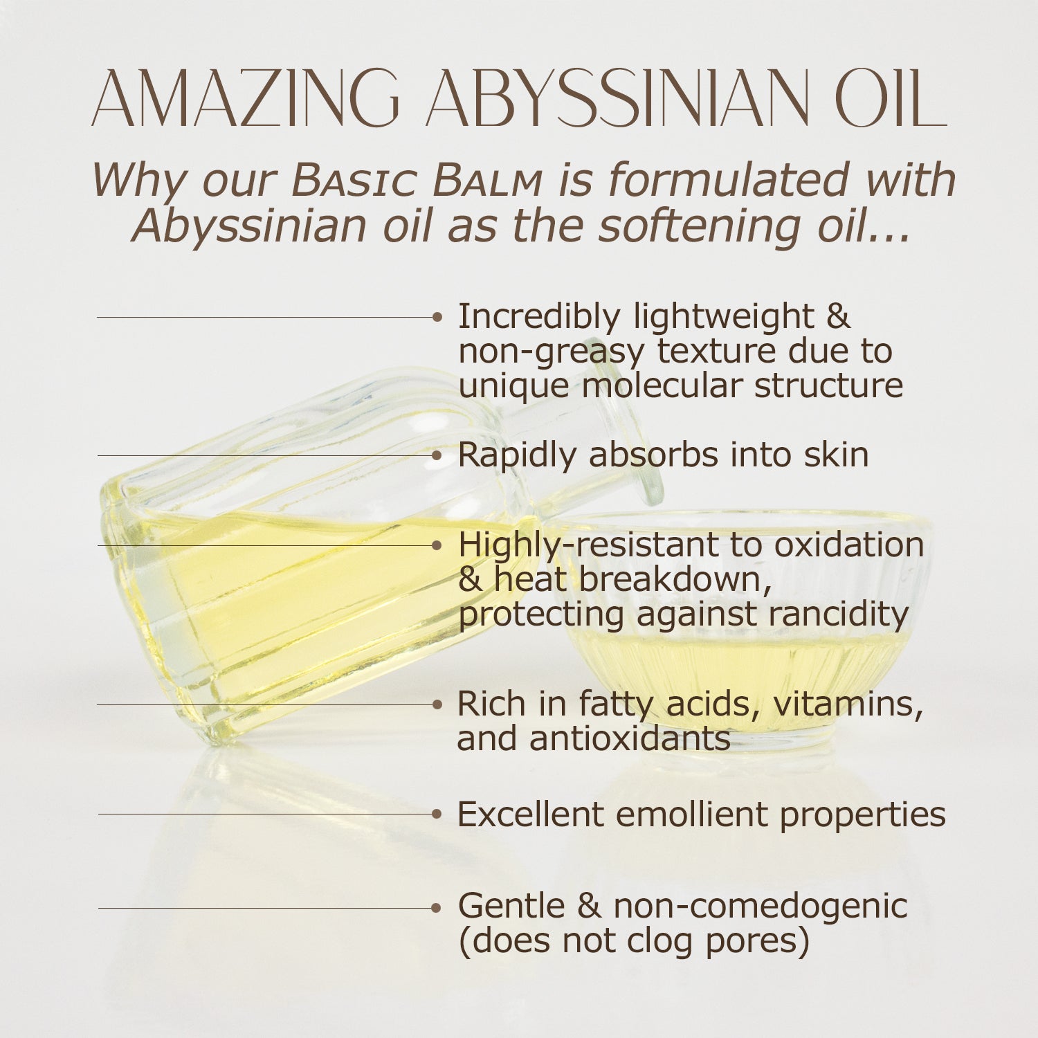 Men's BASIC BALM: Rugged, Whipped Tallow and Honey Balm