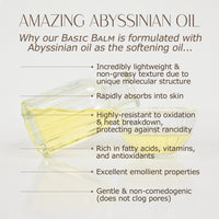 Men's BASIC BALM: Rugged, Whipped Tallow and Honey Balm